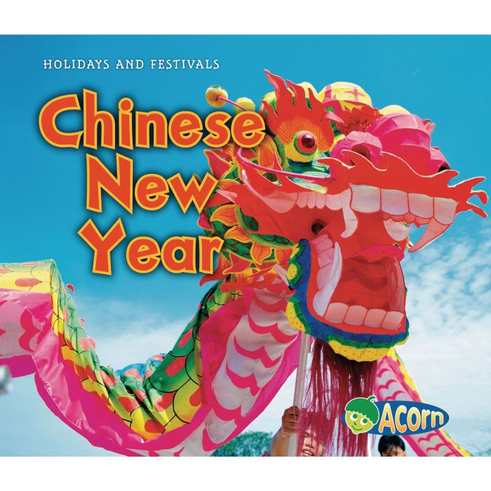 Holidays and Festivals Chinese New Year