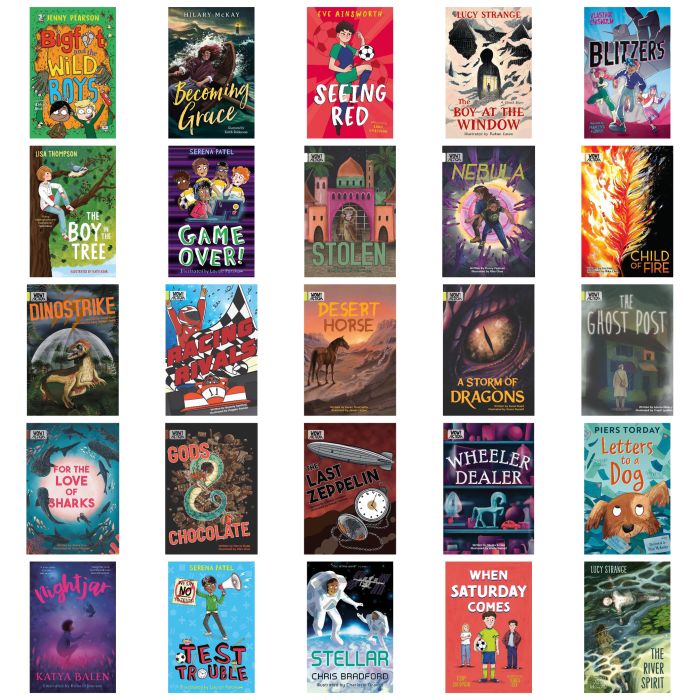 Dyslexia Friendly Books for Upper KS2-Pk 25 Dyslexia Friendly Books for Upper KS2-Pk 25