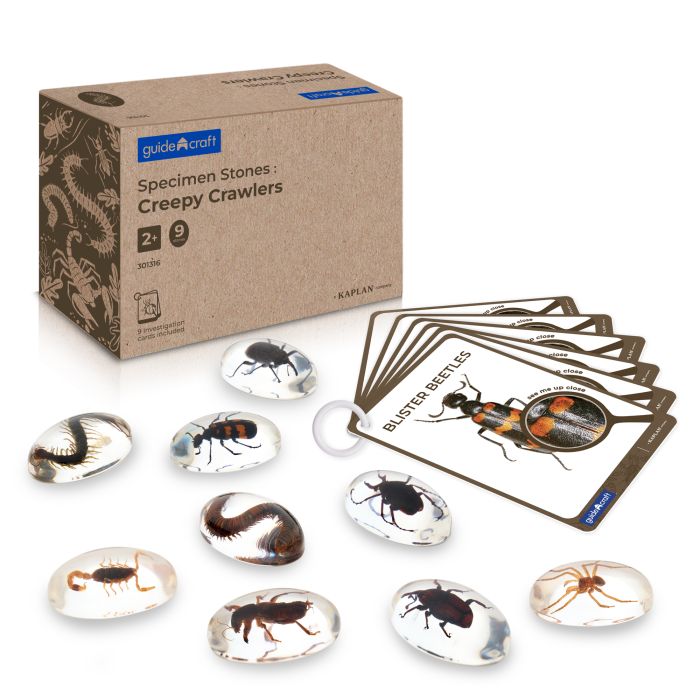 Guidecraft Specimen Stones: Creepy Crawlers