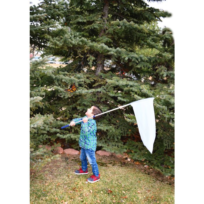 Telescopic Sweep Net