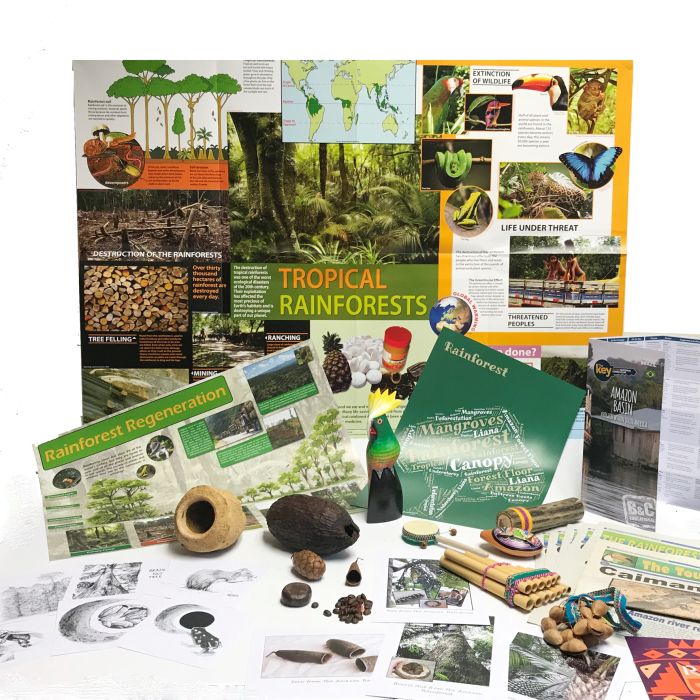 Rainforest Resource Box Rainforest Resource Box