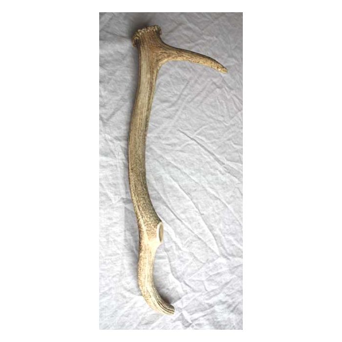 Medieval Coins x 3 Medieval Coins x 3