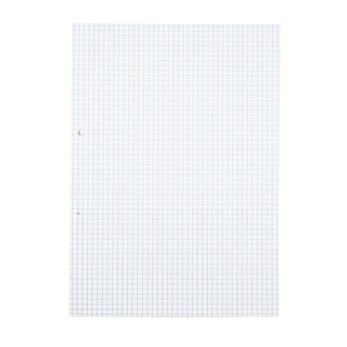 Exercise Paper A4 5mm Squared 2 Hole Punched - Pack of 500