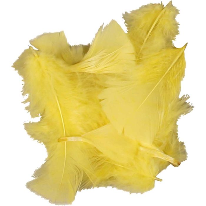 Yellow Down Feathers - 7-8cm - 50g