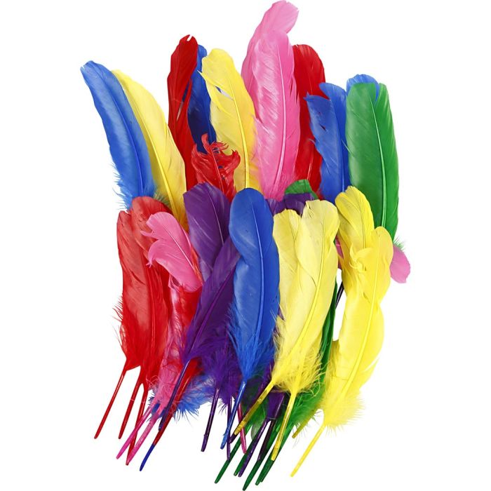 Coloured Feathers - 20cm - Pack of 36 Coloured Feathers - 20cm - Pack of 36