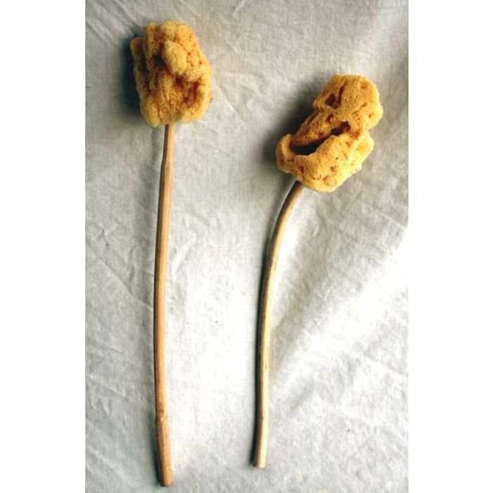 Sponge on Stick