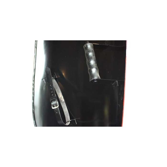 Rampant Lion Shield Rampant Lion Shield