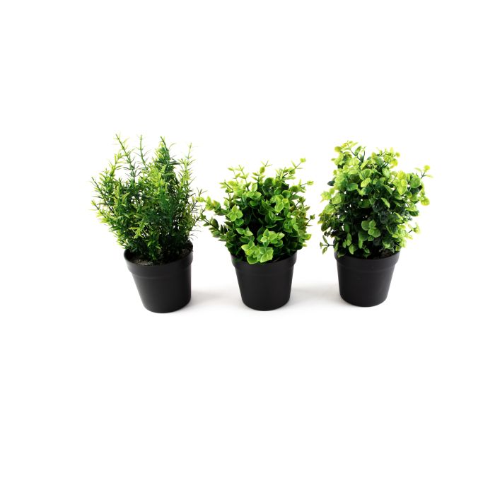 Artificial Potted Plants - Pack of 3