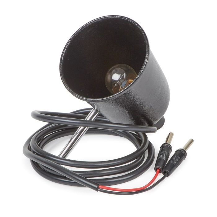 Lamp 12V