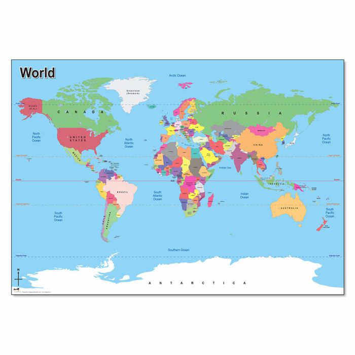 Wildgoose Large Vinyl Map of the World