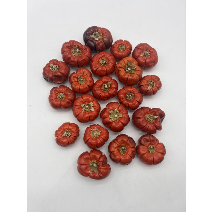 Rainbow Eco Play Dried Mini Pumpkins-Pk 20 Rainbow Eco Play Dried Mini Pumpkins-Pk 20