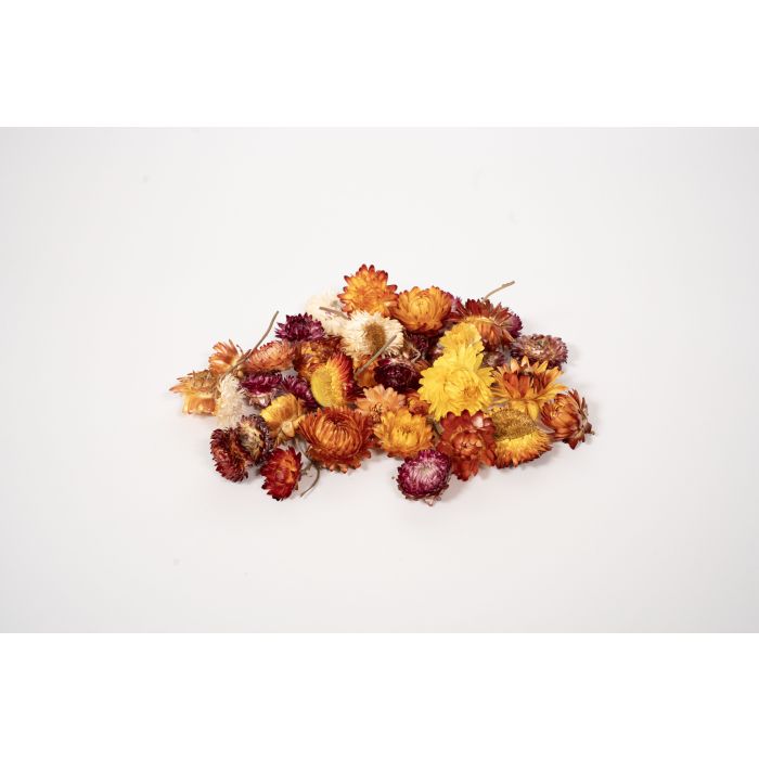 Rainbow Eco Play Dried Flower Heads Mixed Colours 75g