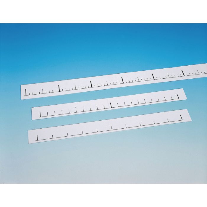 Blank Number Lines - Pack of 30