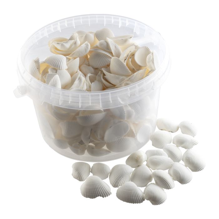 White Shells 2.5L Tub White Shells 2.5L Tub