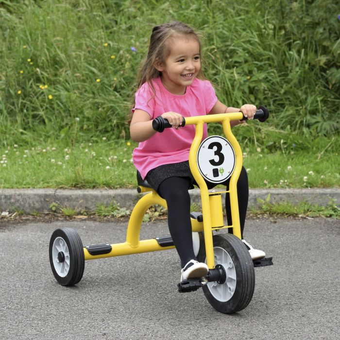 Wisdom Large Trike Wisdom Large Trike