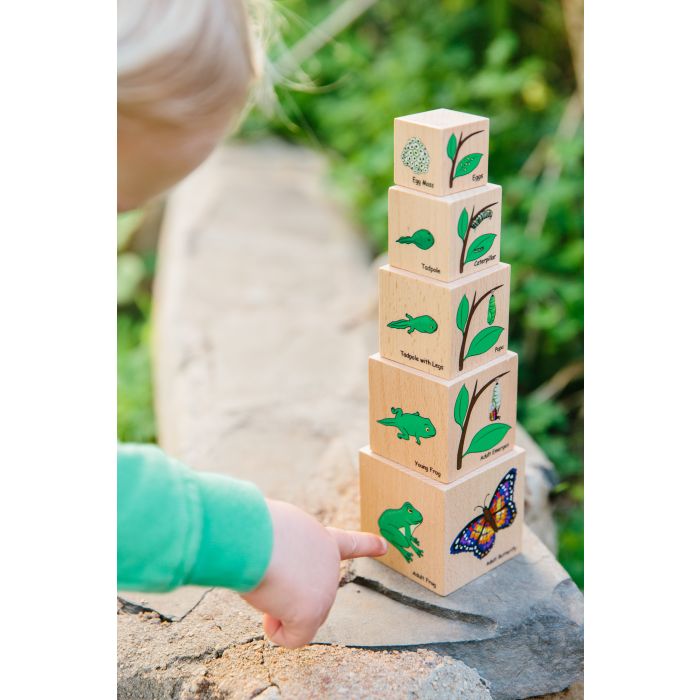 Life Cycle Wooden Blocks