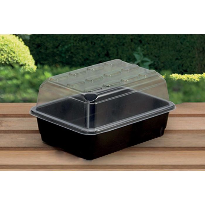 Gro Box Basil