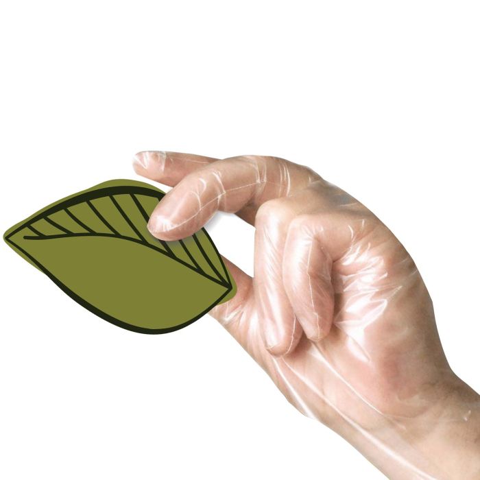 Medium Compostable Disposable Gloves - Pair Medium Compostable Disposable Gloves - Pair