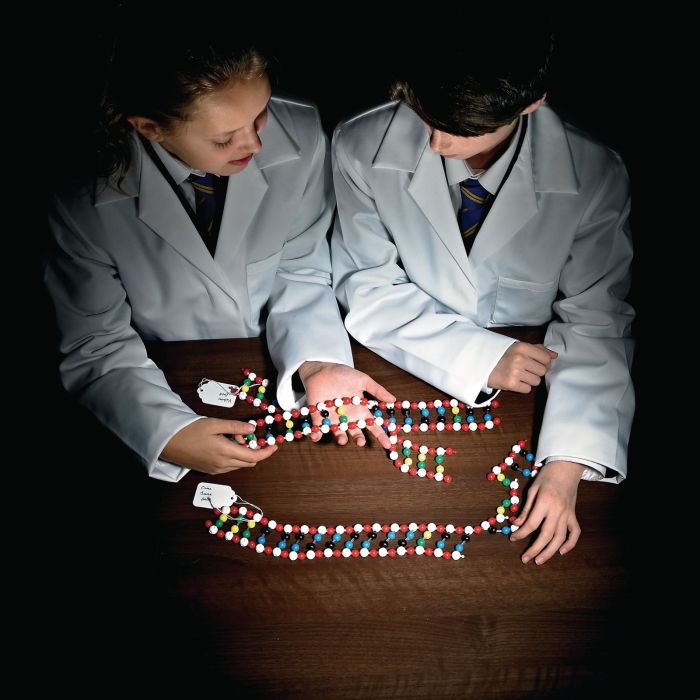 DNA Murder Mystery Kit