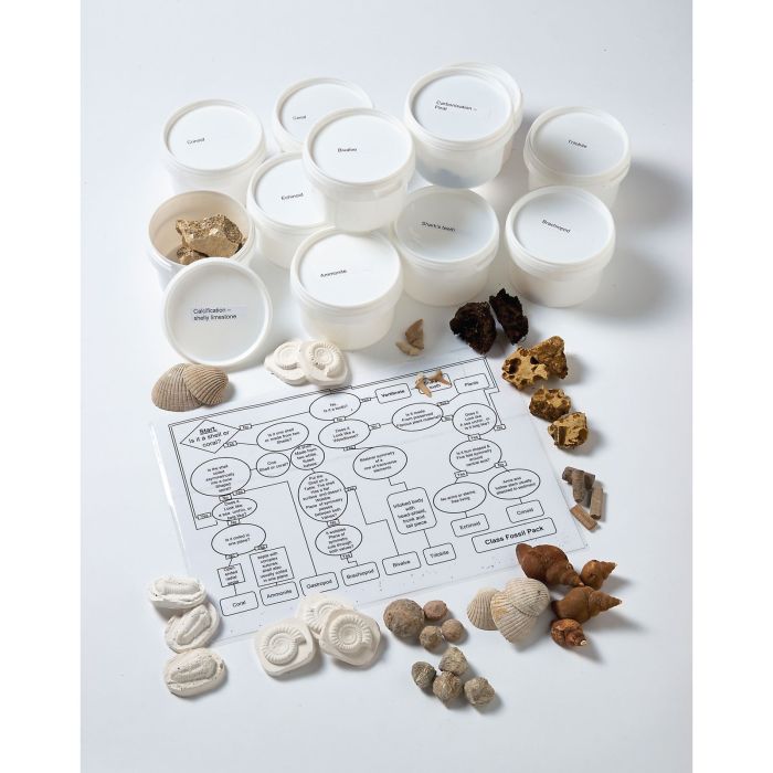 Class Fossil Pack Class Fossil Pack