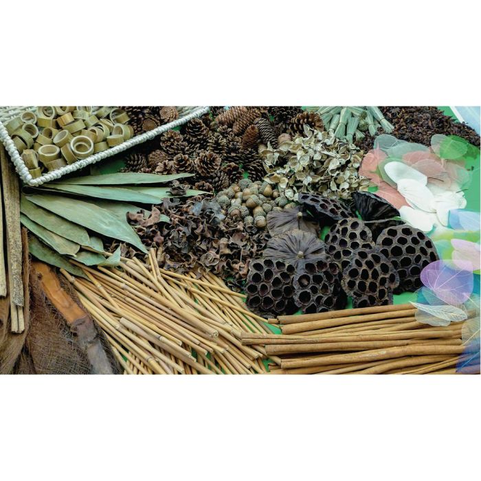 Botanical Treasure Basket