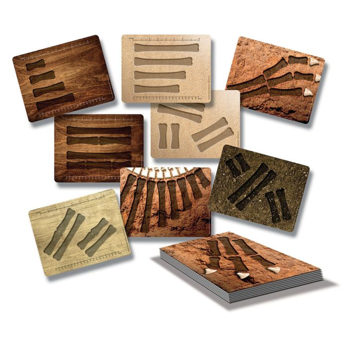 Dino Bones Activity Cards - Pack of 16 Dino Bones Activity Cards - Pack of 16