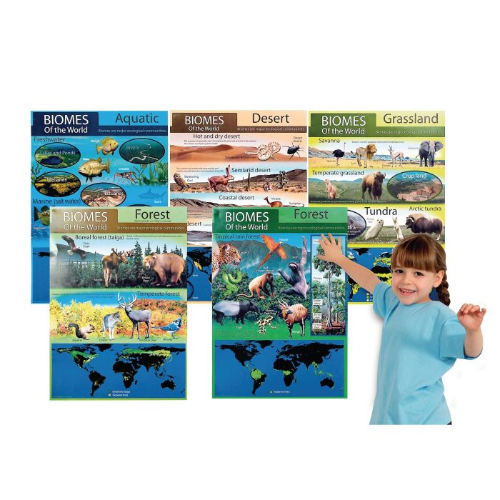 Habitat Bulletin Board Set Habitat Bulletin Board Set