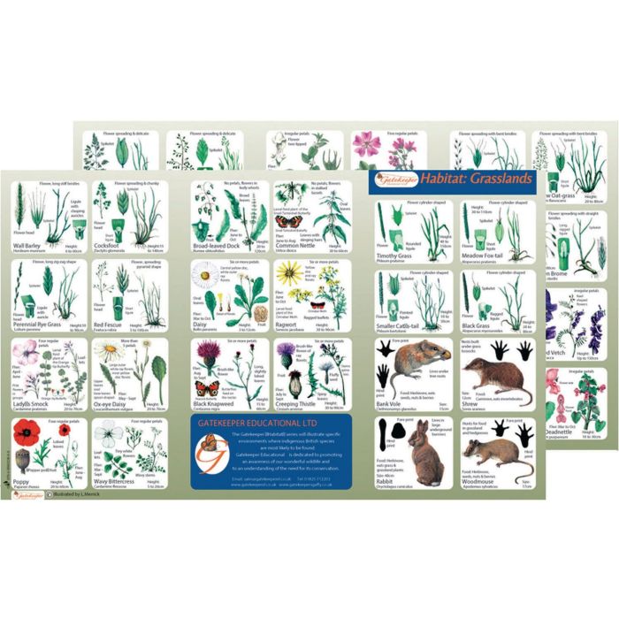 Grassland Identification Guide Pack Grassland Identification Guide Pack