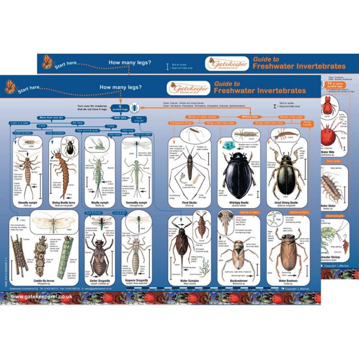 Freshwater Invertebrates Guide Pack