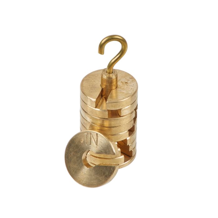 Newtons Masses 9x0.1 N 1x0.1nhanger - Pack of 10 Newtons Masses 9x0.1 N 1x0.1nhanger - Pack of 10