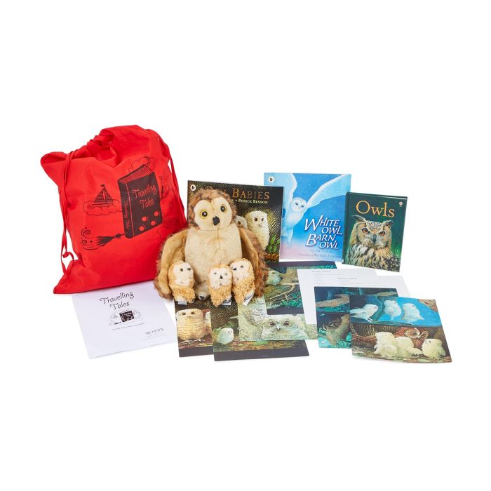 Travelling Tales - Owl Babies