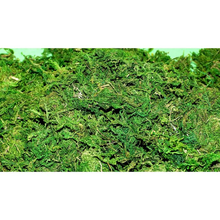 Green Moss - 100g Green Moss - 100g