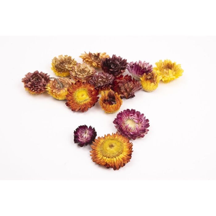Dried Flower Heads - 75g Dried Flower Heads - 75g