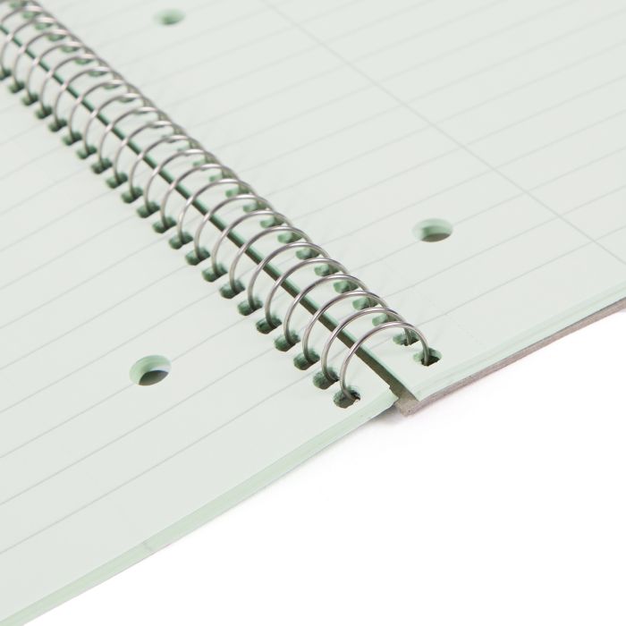 Classmates Tinted Notebook A4 8mm with Margin 4 Hole Punched-Pk 5-Green