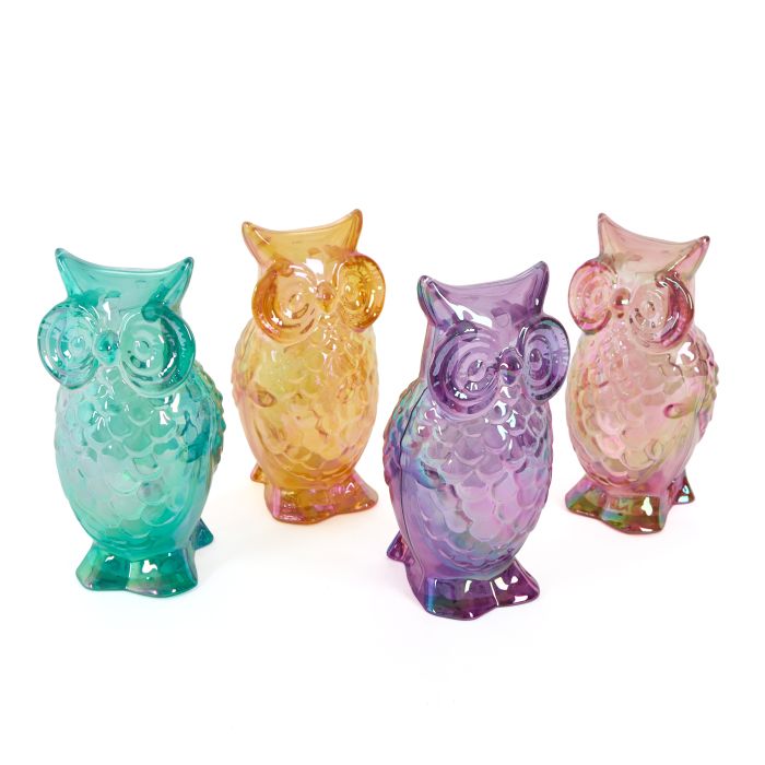Iridescent Owls Education-Pk 4 Iridescent Owls Education-Pk 4