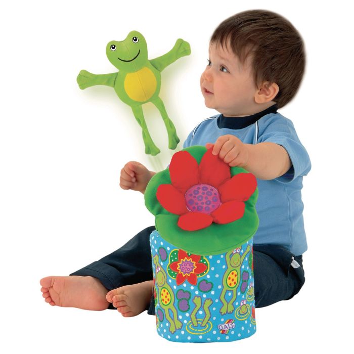 GALT Frog-in-a-Box GALT Frog-in-a-Box