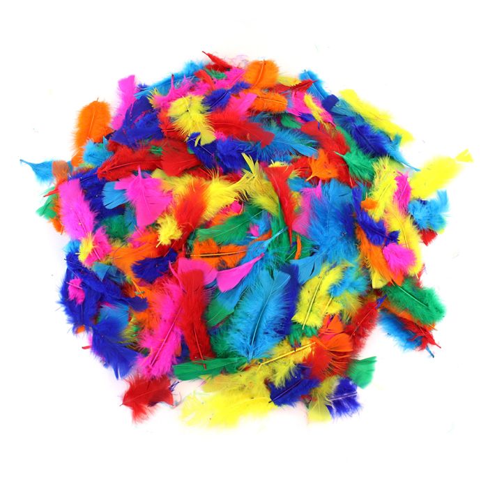 Assorted Feathers Pack