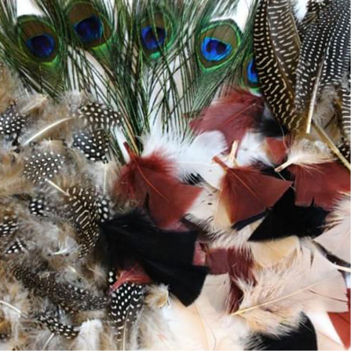Natural Feathers Assorted Bumper Pack Natural Feathers Assorted Bumper Pack