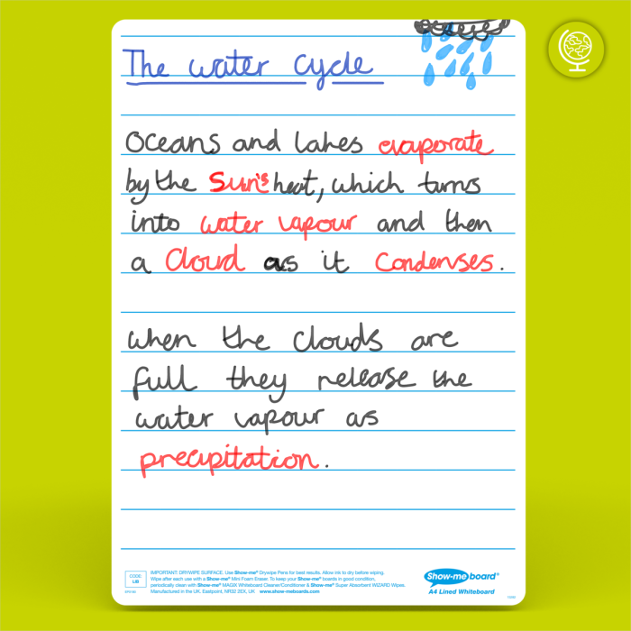 Show-me 10 A4 Lined Boards Pens & Erasers