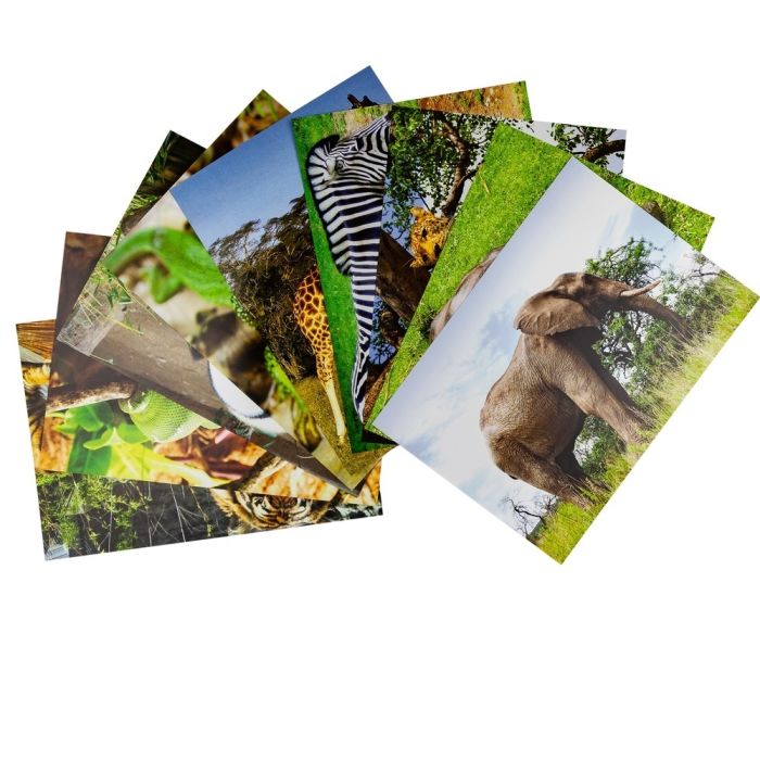 Natures Attire - Pack of 40