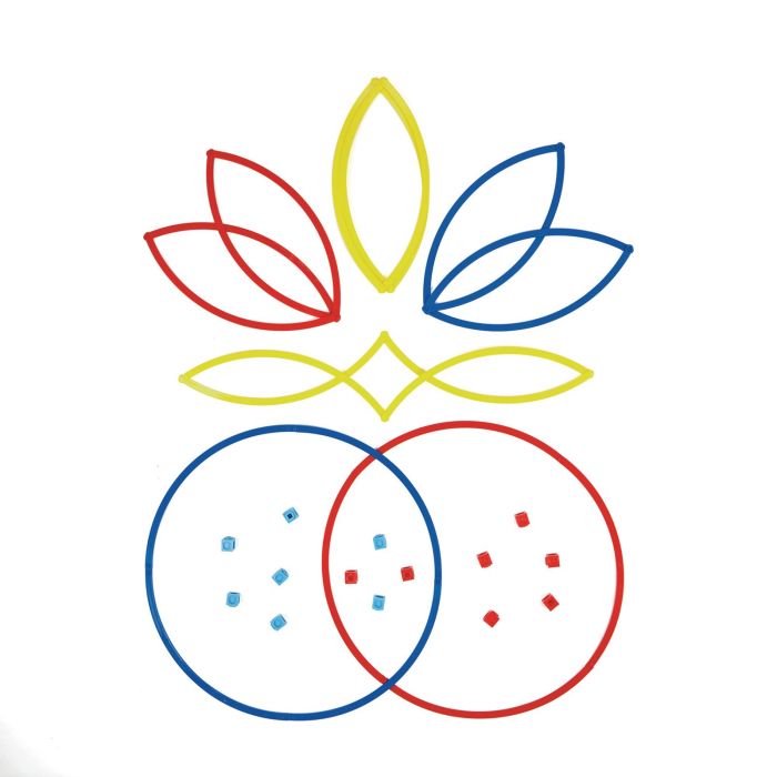 Sorting Rings - Pack of 6