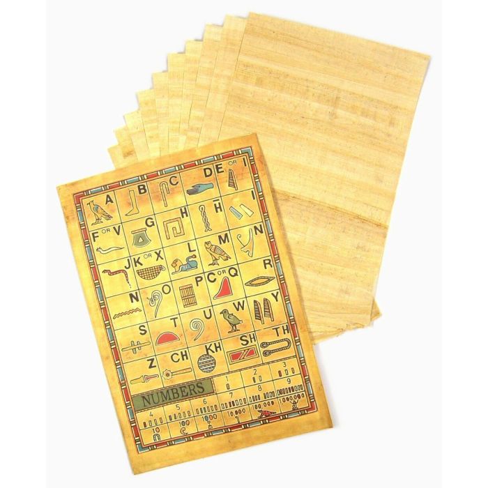 Egyptian Papyrus 20cm / 30cm - Pack of 10 Egyptian Papyrus 20cm / 30cm - Pack of 10