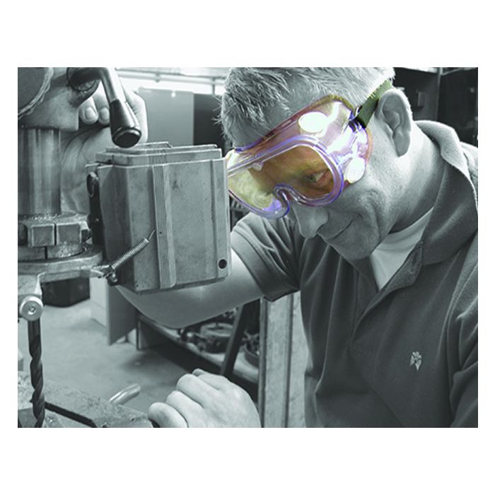 Protective Goggles