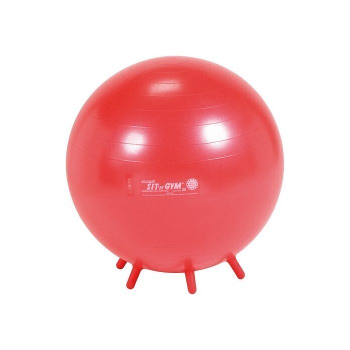 Sit n Gym 55cm Sit n Gym 55cm