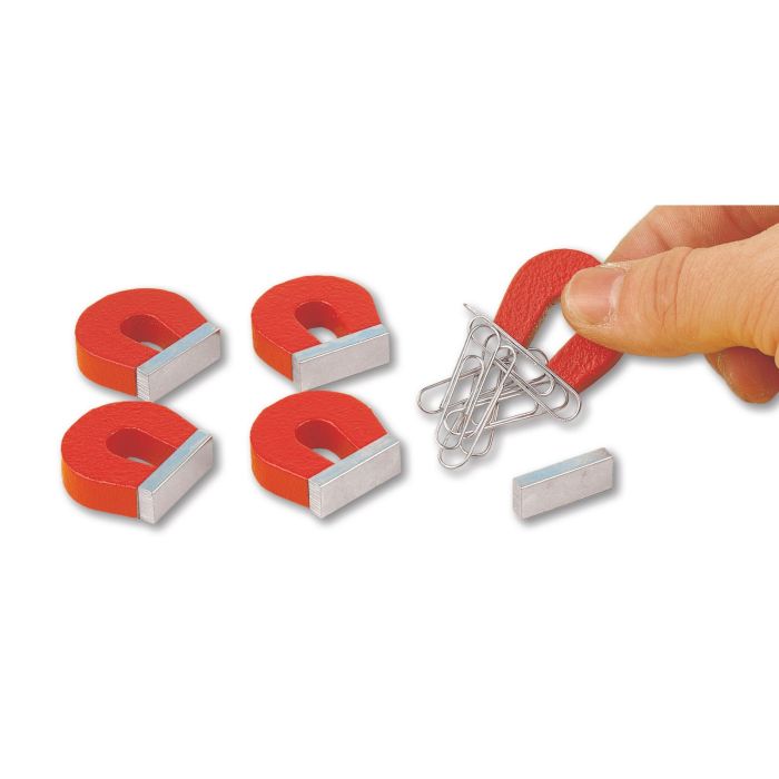 Horseshoe Magnet - Small - Pack of 5 Horseshoe Magnet - Small - Pack of 5