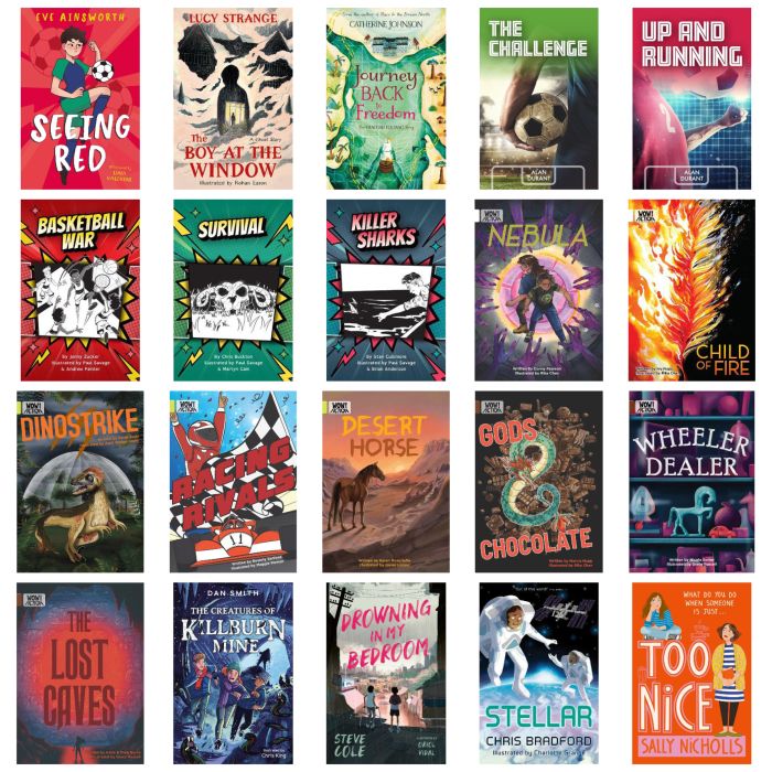 Dyslexia Friendly Books for KS3-Pk 20 Dyslexia Friendly Books for KS3-Pk 20