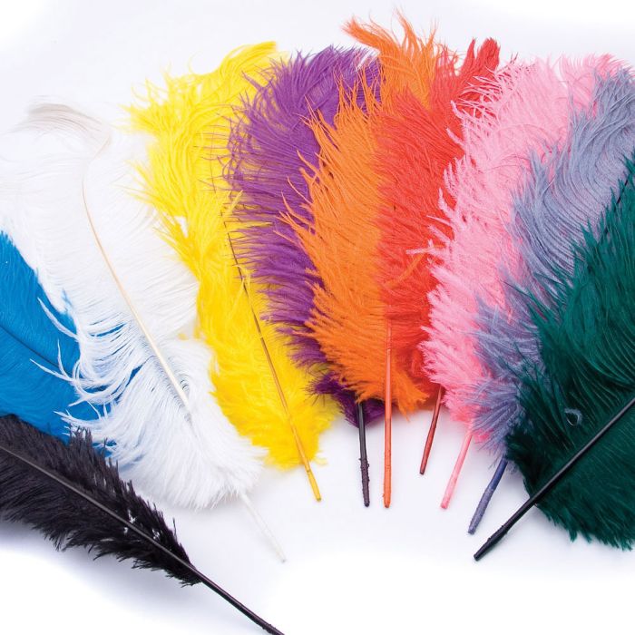 Ostrich Plumes Ostrich Plumes