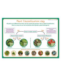 Classifying Plants Poster