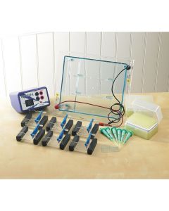 DNA Electrophoresis Equipment - Classroom Kit