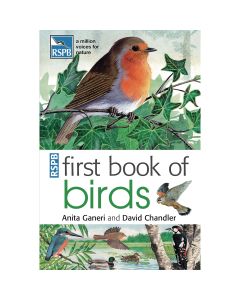 First Book of Birds